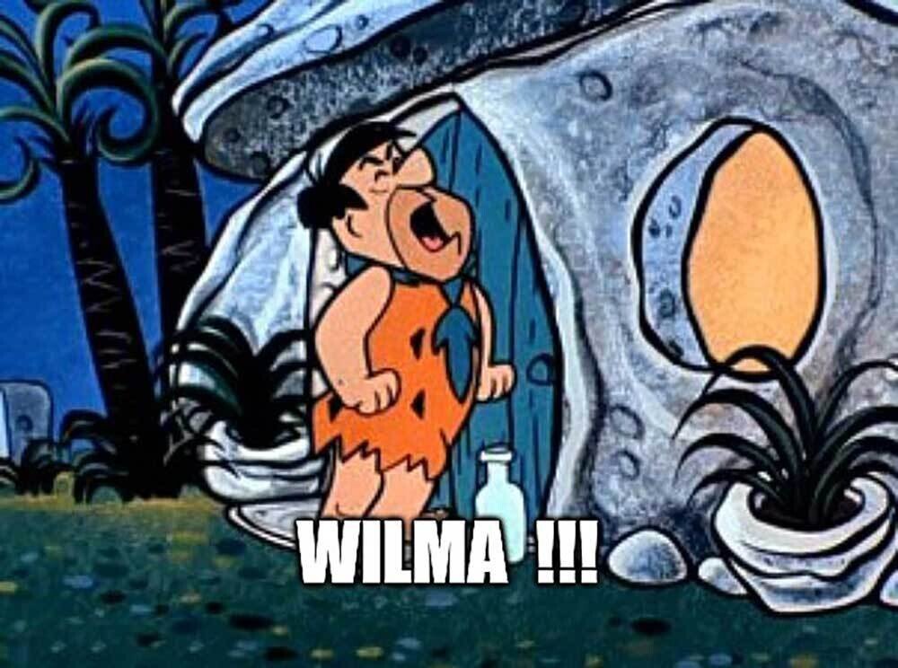 wilma