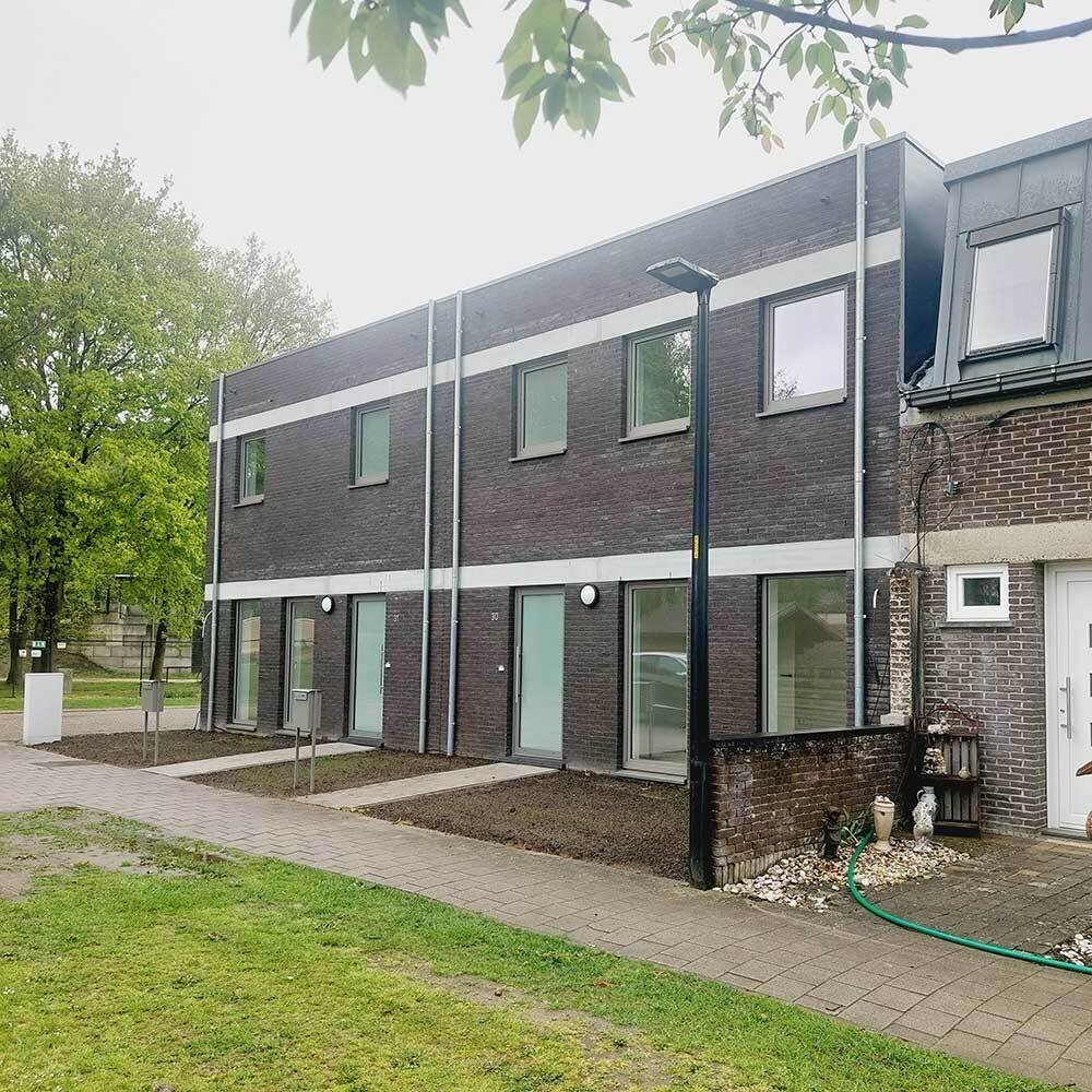 Vlasrietje Noorderkempen3
