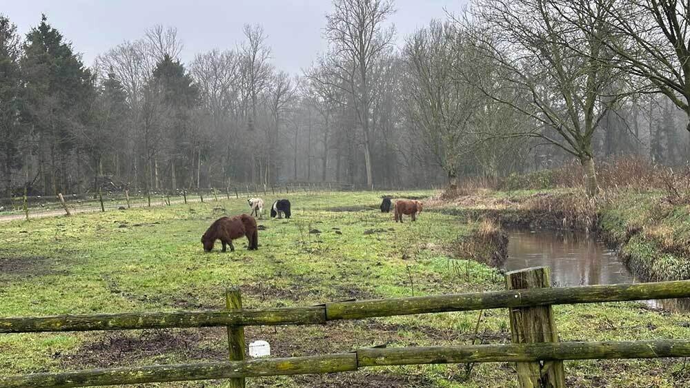 de Poppelse Beemd