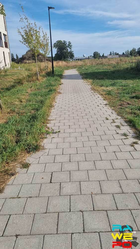 paadje4