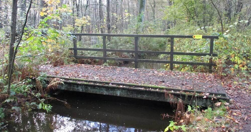 17e Elfenwandeling natuurreservaat Klein Kuylen
