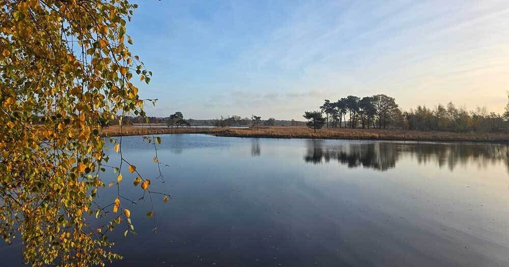 Turnhouts Vennengebied