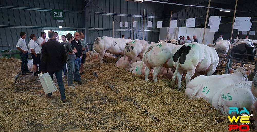 agridagen veeprijskamp