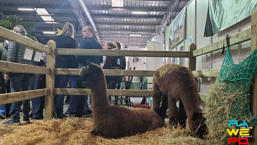 2026 02 22 agri ravels ZONDAG4