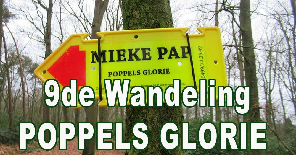 pijl poppel glorie