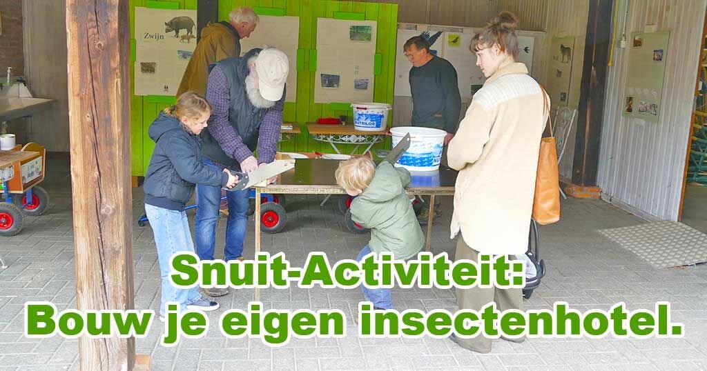 insectenhotel natuurpunt