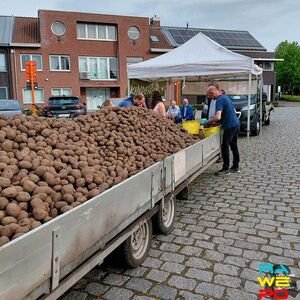Chasse patate3