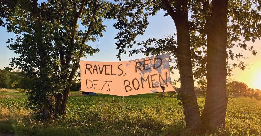 red de bomen