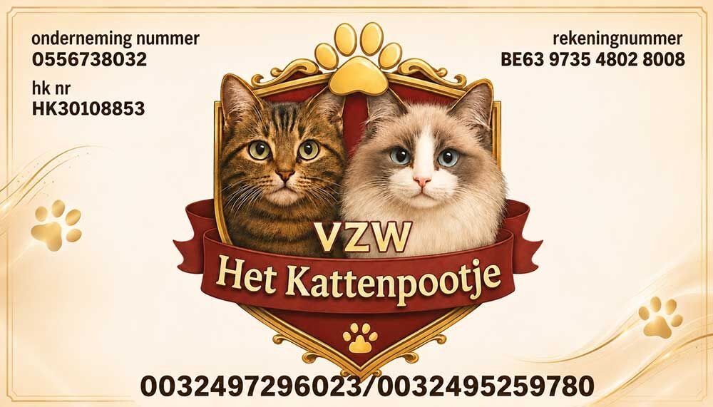 kattenasiel