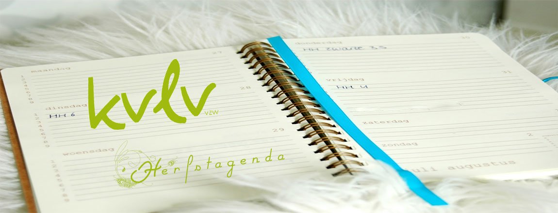 kvlv agenda