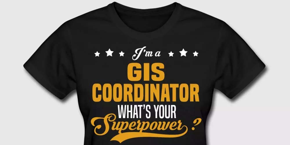 gis coordinator