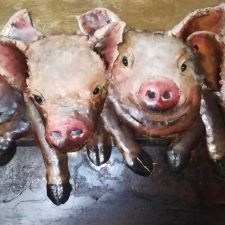 duroc speenvarkens