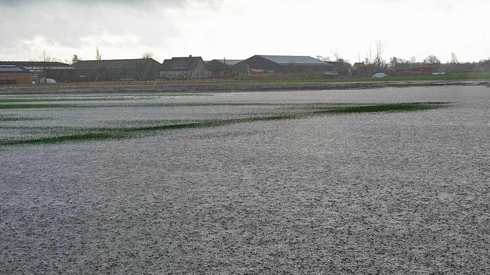 Singelstraat Weelde donderdagvoormiddag onder een heel zware stortbui