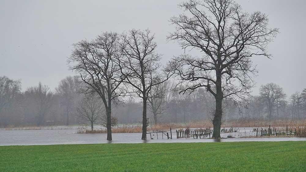 de Aa in Poppel achter Krommendijk