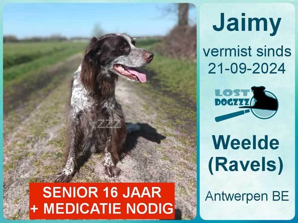 jaimy heidewachtel reu