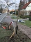 Ongeval_Tilburgseweg_-_Heel_wat_schade-800