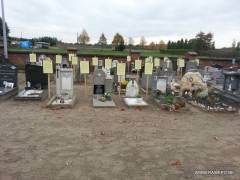 20131025 141254
