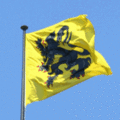 vlaamse_vlag_cm300