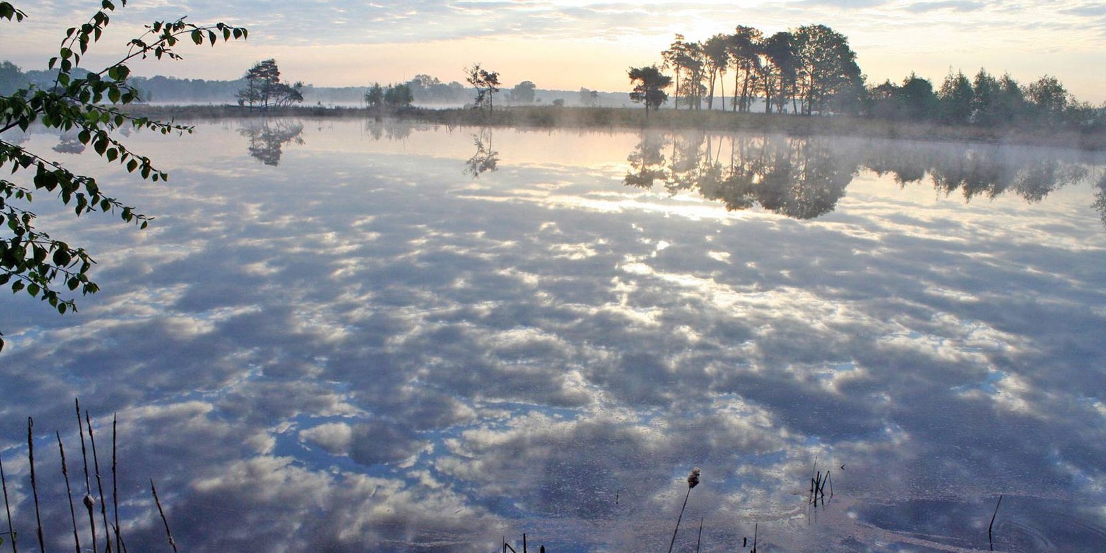 Turnhouts Vennengebied... © PdR